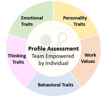 5D Profile Assessment Diagram