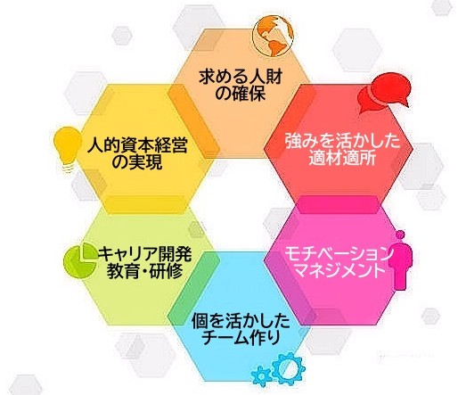 タレントマネジメント導入による組織力と人材活用の効果