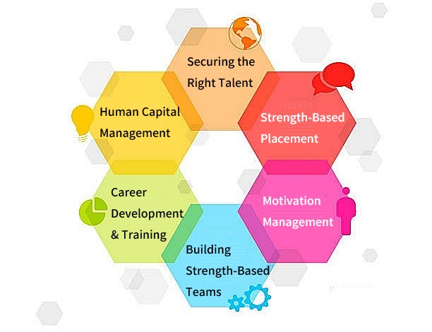 Effects of Talent Management