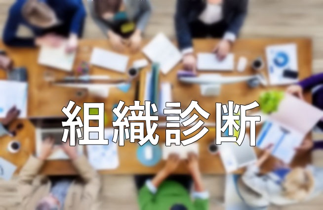 組織の力を最大化する